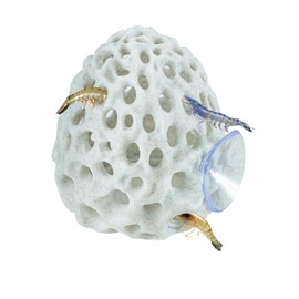 Swirge Shrimp Dome Hide, Shrimp Hides for Aquarium, Betta Fish Hideout with Suction Cup, Betta Habitat Tank Ornament Accessories, Aquarium Decor for Small Fish Guppy Hiding Resting (White)