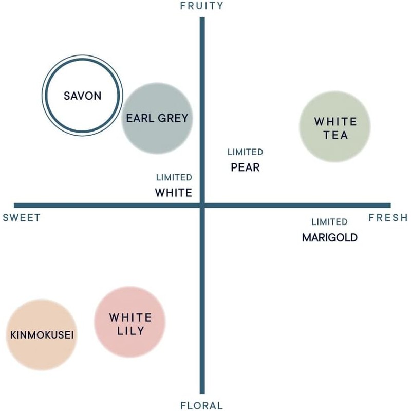 SHIRO Sabon perfume paste 12g New fragrance