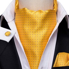 Hi-Tie Silk Ascot for Men Self Tie Men's Yellow Cravat and Flower Lapel Pin Handkerchief Cufflinks Set for Wedding