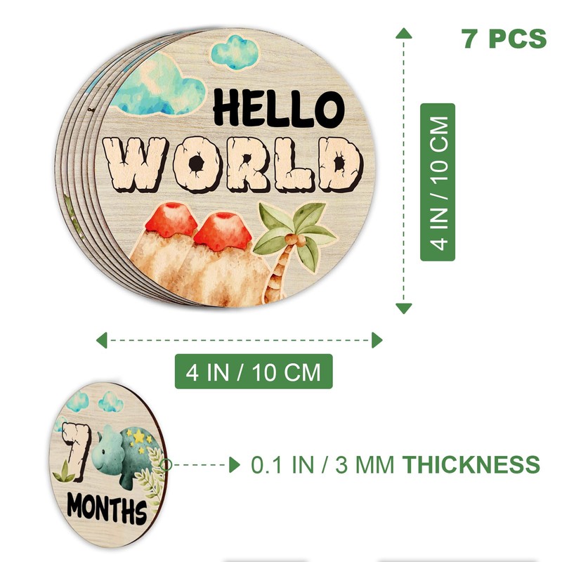 Dinosaur Baby Monthly Milestone Circles, Baby Months Wooden Disc Stuff
