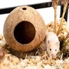 QMAAAYS Hamster House, Coconut Shell Bird House Small Pet Habitat,
