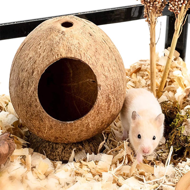 QMAAAYS Hamster House, Coconut Shell Bird House Small Pet Habitat,