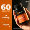 Energy Boost | Camellia sinensis, L-Carnitina, Fucoidan, Triptófano, Colágeno +