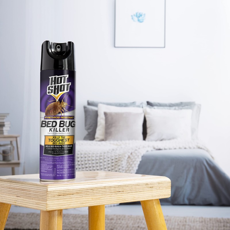 Hot Shot Bed Bug Killer Aerosol, Bed Bug Treatment, 17.5