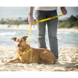 NERVOUS (Give Me Space) Yellow Colour Coded Non-Pull Dog Harness and 60cm 1.2m 1.8m Luxury Neoprene Padded Handle Lead Sets PREVENTS Accidents By Warning Others Of Your Dog In Advance (Harness & 1.2m)