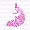 Peacock Art Stencil - Peacock Feather Design