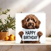 Happy Birthday Card - Cute Cavapoo 145mm x 145mm