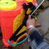 Flylin 1 Pcs Pump Action Pressure Sprayer Greenwood Backpack Sprayer