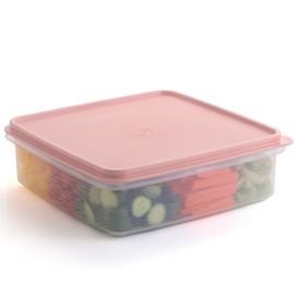 Plastic Storage Container with Lid – 3L Cupcake Carrier – Leakproof Cookie Storage Container Airtight – BPA-Free Plastic Container with Lid for Food Storage, Meal Prep, Leftovers, Cupcakes