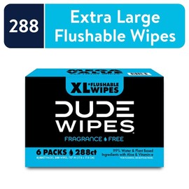DUDE Wipes Unscented XL Flushable Wipes, 6 Flip-Top Packs Case, 48 Wipes per Pack, 288  Aloe Vera