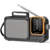 Tendak AM FM Radio with Best Reception, Bluetooth Portable AM