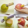 2 in 1 Apple Corer, Apple Corer Remover Tool, Fruit