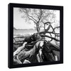 MCS Art Shadow Box Frame, 12 by 12-Inch, Black