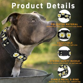 Seyezo Dog Collar, Daisy Boys Girls Puppy Collar for Small Medium Large Dogs, Adjustable Soft Floral Pet Collar with Safety Buckle for Male Females(Black Daisy,S)