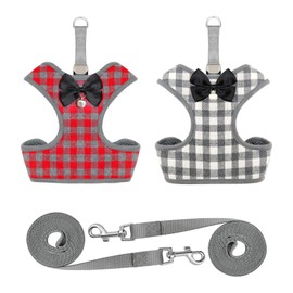 Rypet 2PCS Small Dog Harness and Leash Set - No Pull Pet Harness with Soft Mesh Nylon Vest for Small Dogs and Cats L