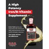 S.S.S. Tonic, Iron and Vitamin B Supplement, High Potency Vitamins,