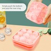 1 Piece Rose Ice Tray with 1 Piece Stainless Steel