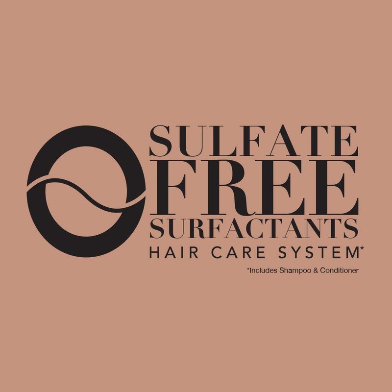 Ogx Conditioner Brazilian Keratin Therapy 13 Ounce (384ml) (Pack of