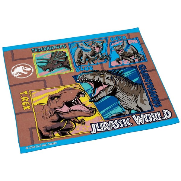Skater KB4-A Jurassic World Lunch Cloth, 16.9 x 16.9 inches (43 x 43 cm), Made in Japan