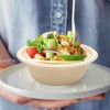 100 Pack 12 oz Disposable Paper Bowls, Heavy Duty Compostable
