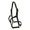 Huntley Equestrian Fancy Stitched Adjustable Premium Leather Pony Halter with