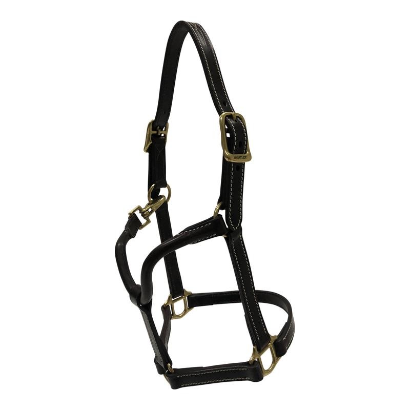 Huntley Equestrian Fancy Stitched Adjustable Premium Leather Pony Halter with