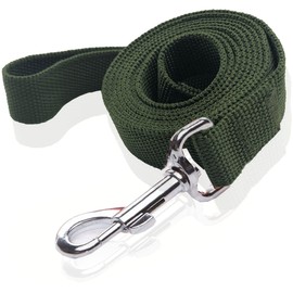 Nylon Dog Leash 4 Ft 5 Feet 6 Foot Long, Walking Training Dog Leashes for Medium Large Dogs, 1 Inch Wide (1" X 6 ft, Green)