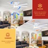Mpayel Ceiling Fans with Lights- 52" Low Profile Indoor Ceiling
