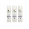 Pinus Vital - Harmonising Body Lotion - 3 x 200