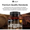 Lion's Mane & Reishi Mushroom Capsules - 4000mg High-Strength Lion's