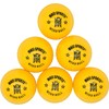MARIB Wind Cricket Balls - Indoor & Outdoor Soft Training