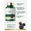 Shilajit 2000mg | 90 Capsules
