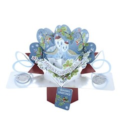 Second Nature Christmas Pop Up XPOP040A Owls Christmas Pop Up Card