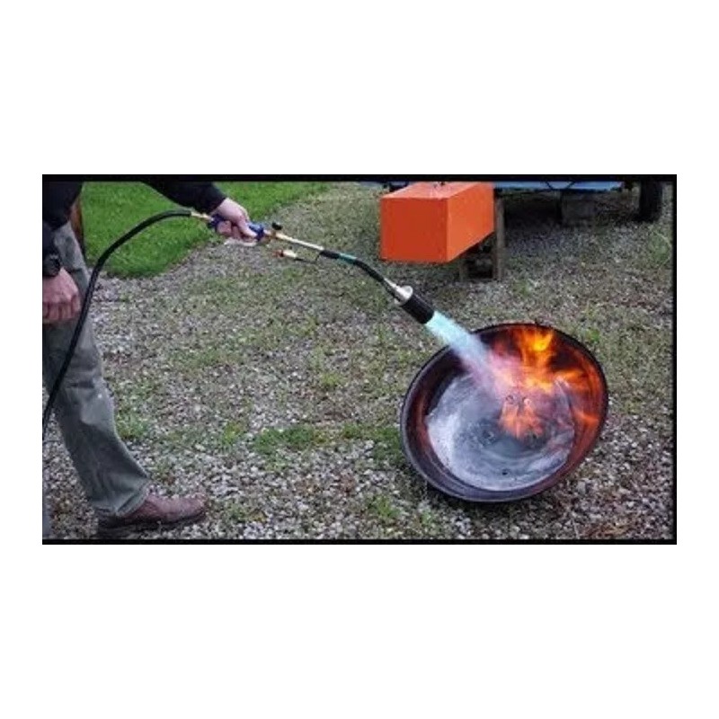 Greenwood Propane Torch with Push Button Igniter for Driveway Weed