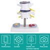 Human Size Medical Model - Anatomical Herniated Disc Demonstration Accessories