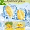 Canned Freeze-Dried Jackfruit Chips - 7oz Airtight Tin | 100%
