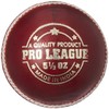 DSC Pro League Cricket Leather Ball | Color: Red |