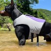 Dog Life Jacket, Sport Style Dog Float Coat with Excellent