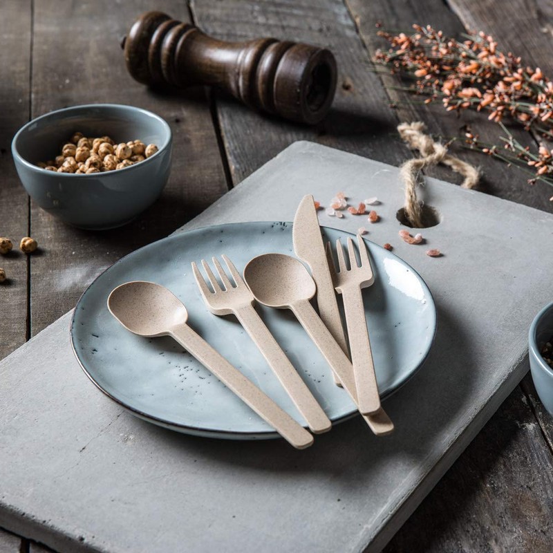 BIOZOYG Organic Reusable Cutlery Sturdy Plastic Cutlery Spoon I Compostable