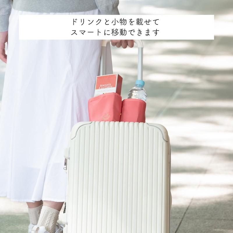 Shiro Lab (Foldable) Multi Carry Holder, PK Carry-on Bag, Business