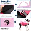 AOFITEE Small Dog Life Jacket, Shark for Swimming, High Flotation