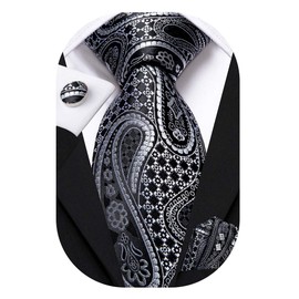 Hi-Tie Silk Paisley Ties for Men Necktie Pocket Square Cufflinks Set Foral Tie Sets Formal Business,Black Silver
