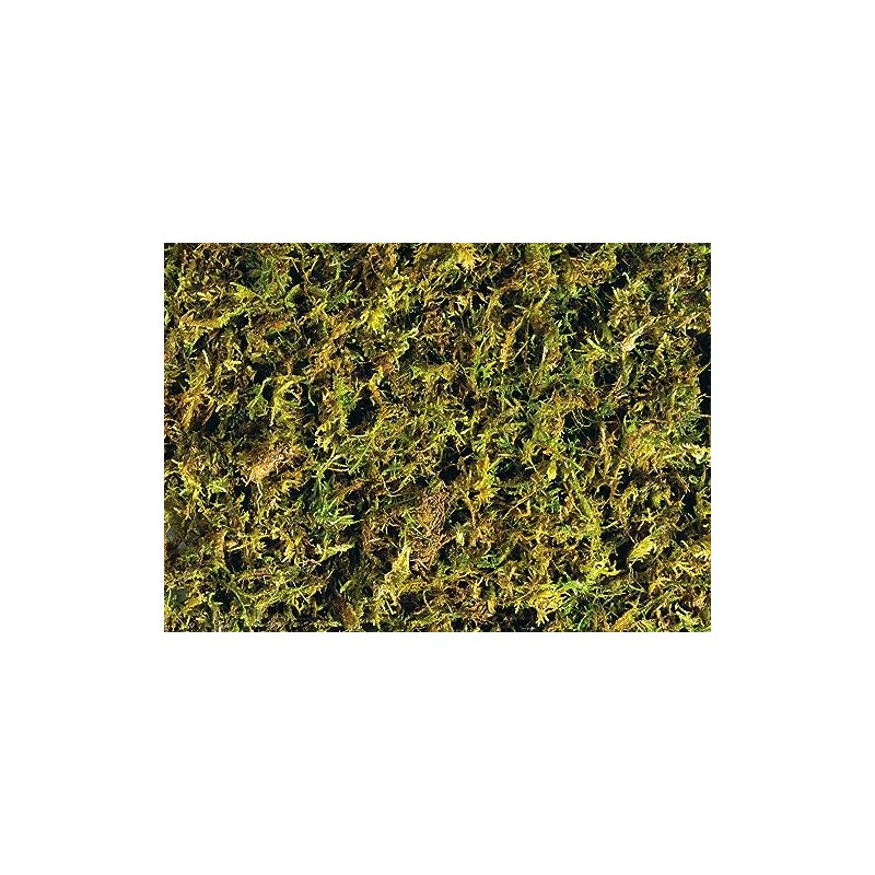 Exo Terra Forest Plume Moss, 7 Quarts, 2-Pack