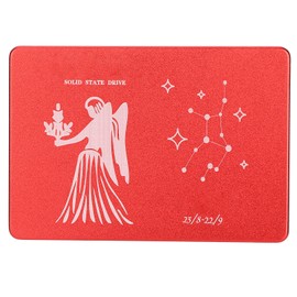 Hsthe Sea Mobile Solid State Disk Portable 2.5 Inch Metal Virgo Red External SSD for PC Computer1TB