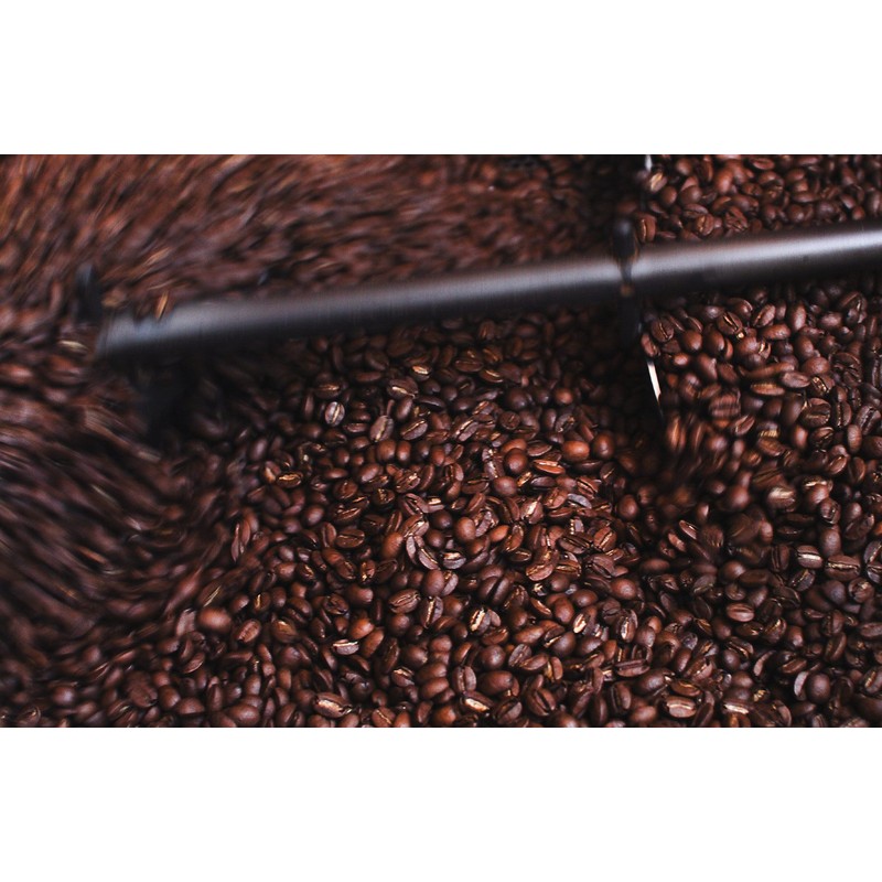 HONEY-BEAR | Black Edition - Dark Roast, Highest Rated Coffee