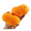 Set of 2 Capybara Puffer Air- Natural Color Filled Squeeze