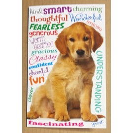 Stockwell Greeting Cards Birthday Thinking Of You Cute Golden Puppy 5'x7.75" Stockwell Greeting Card