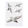 Azeeda 4 x 'Möwe im Flug' Temporäre Tattoos - Wasserfest,