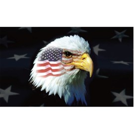 Ruffin American Eagle USA 3'X5' Flag ROUGH TEX® 100D