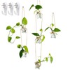 3pcs Star Shaped Glass Flower Vase for Hydroponic Planter Terrarium，Wall
